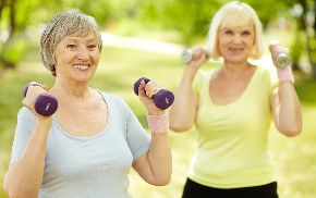 shutterstock_106573286